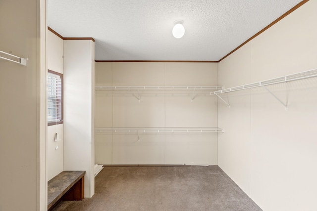 walk in closet with light colored carpet