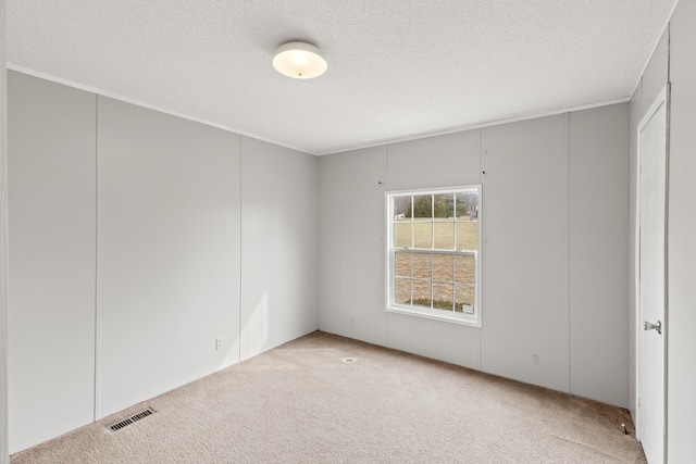 spare room with light carpet and a textured ceiling