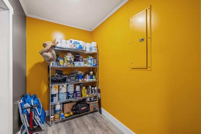 pantry with electric panel