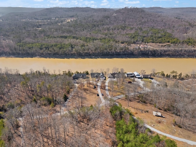 birds eye view of property featuring a water and mountain view