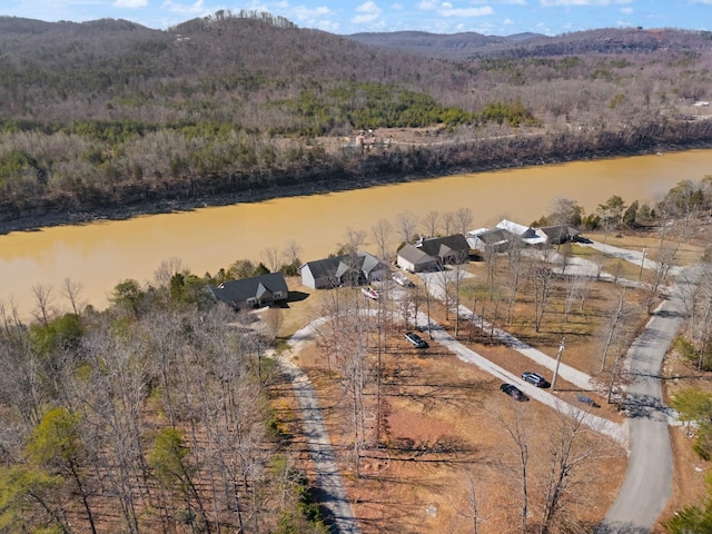 birds eye view of property featuring a water and mountain view