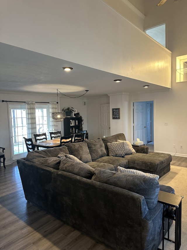 living room with hardwood / wood-style floors and a towering ceiling