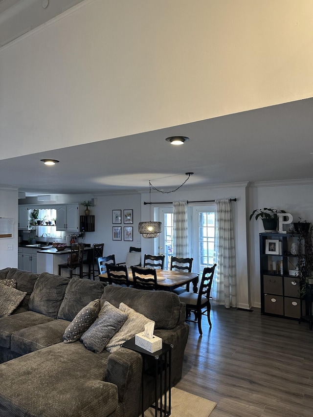 living room featuring sink, crown molding, dark wood-type flooring, and a high ceiling