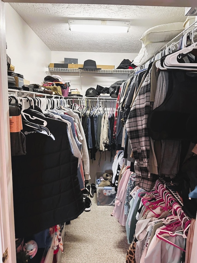 spacious closet featuring carpet flooring