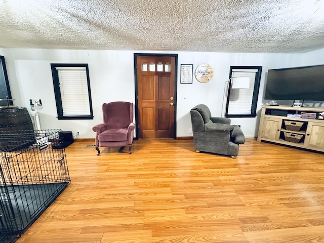 6002 Edmonton Rd, Columbia, KY 42728 - living room with a textured ceiling, light wood-style flooring, and baseboards