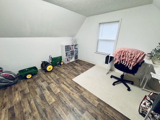 6002 Edmonton Rd, Columbia, KY 42728 - office space with wood finished floors, vaulted ceiling, baseboards, and a textured ceiling