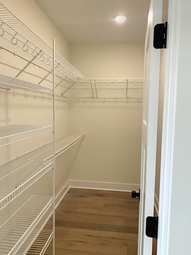 walk in closet with wood finished floors