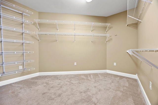 spacious closet with carpet flooring