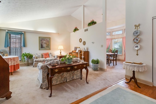 carpeted living room with a textured ceiling and high vaulted ceiling