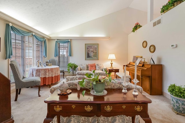 carpeted living room featuring lofted ceiling and a textured ceiling