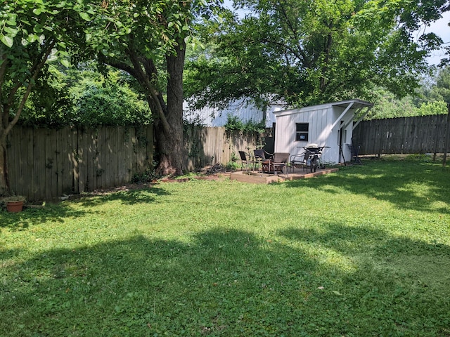 view of yard with a storage shed