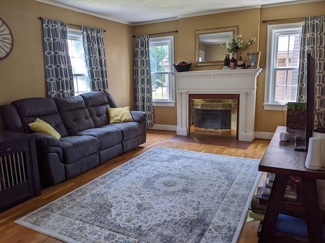 living room with crown molding and light hardwood / wood-style flooring