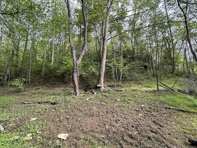 11671 Ky-11, Woollum, KY 40906
