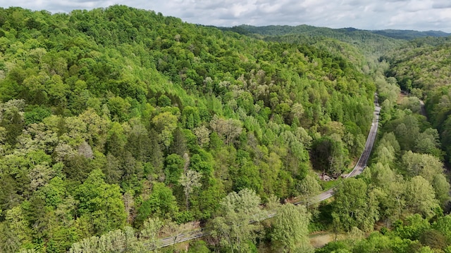 11671 Ky-11, Woollum, KY 40906