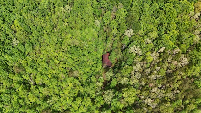 11671 Ky-11, Woollum, KY 40906
