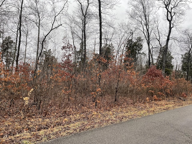 Listing photo 2 for LOT31 Knights Ln, Somerset KY 42503