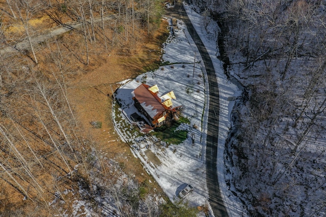 drone / aerial view