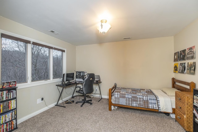 312 Avawam Dr, Richmond, KY 40475 - carpeted bedroom with baseboards and a desk