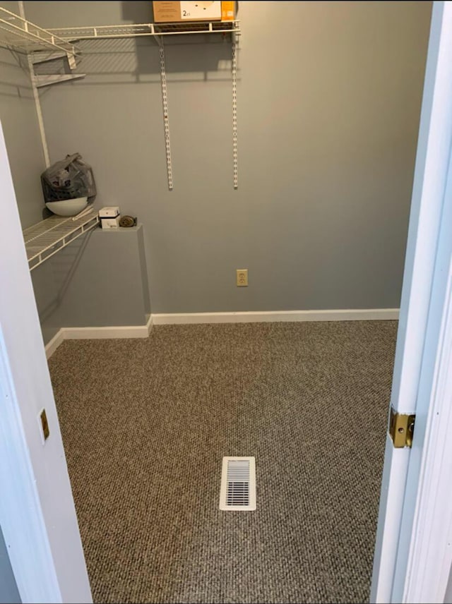 spacious closet featuring visible vents and carpet floors