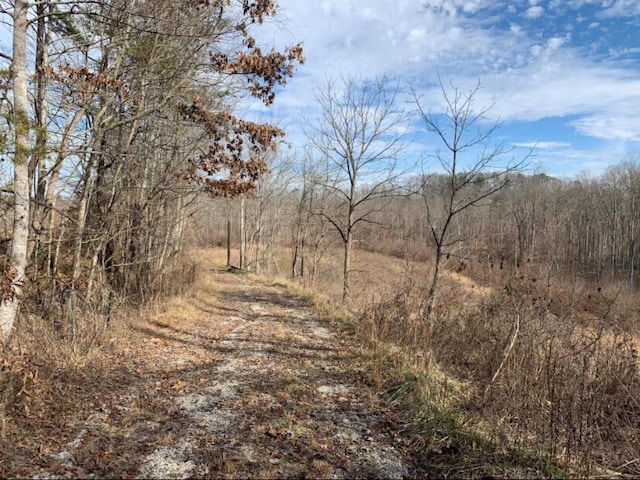 view of landscape featuring a forest view