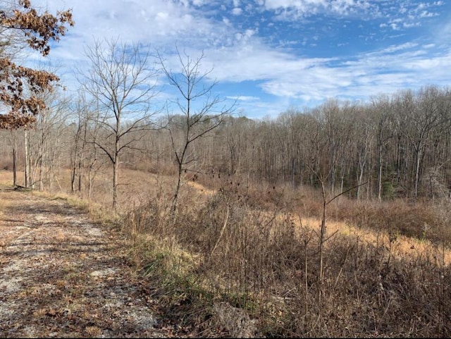 view of landscape featuring a wooded view