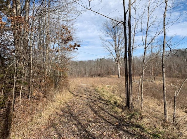 view of landscape with a forest view