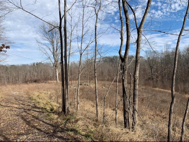 view of nature with a forest view