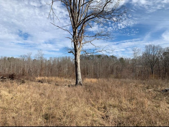 view of nature with a forest view