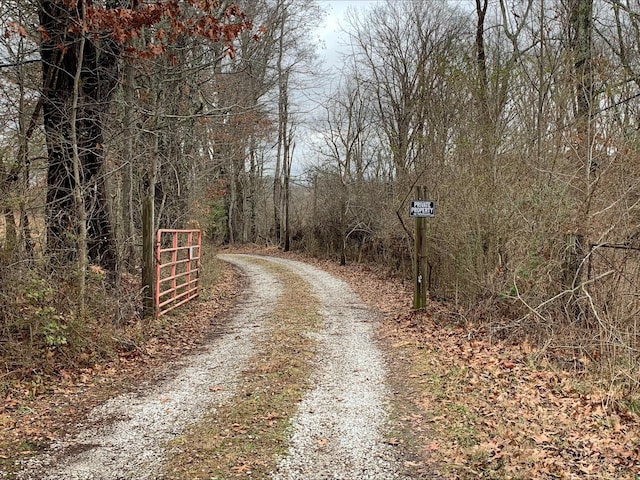 view of road featuring a view of trees
