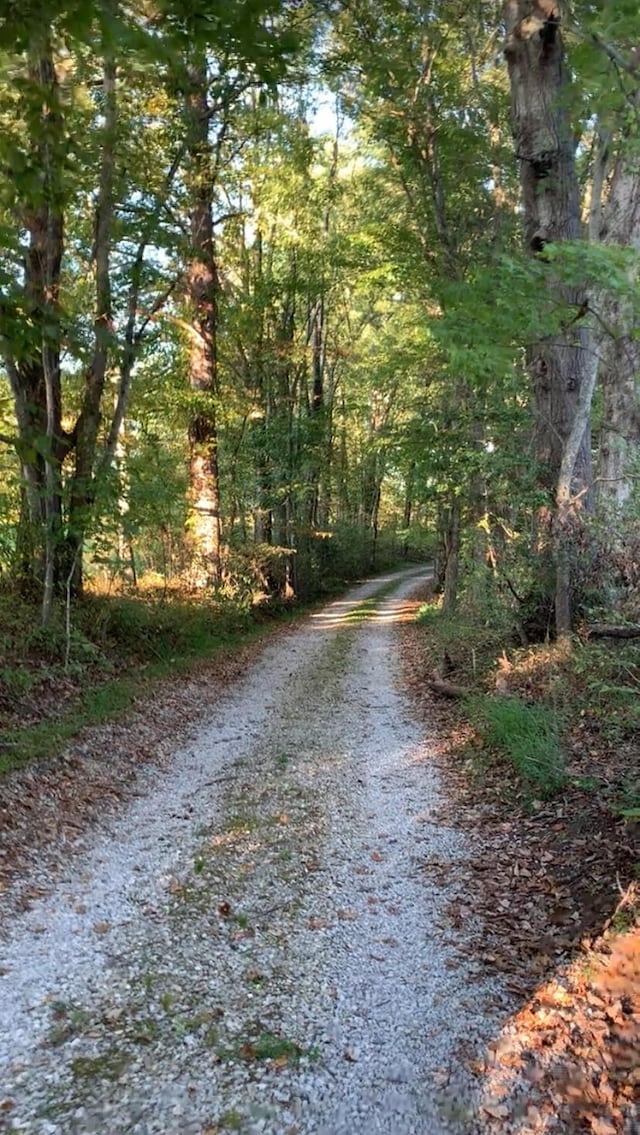 view of road featuring a forest view