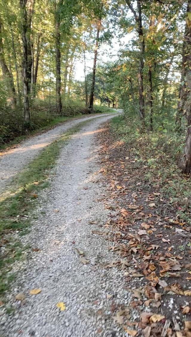 view of street with a wooded view