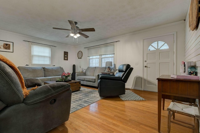 living room featuring crown molding, a textured ceiling, ceiling fan, and light wood-type flooring