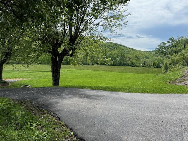 1695 Christy Creek Rd, Morehead, KY 40351 - view of road featuring a forest view