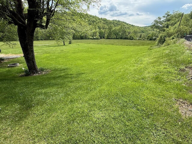 1695 Christy Creek Rd, Morehead, KY 40351 - view of grassy yard featuring a wooded view
