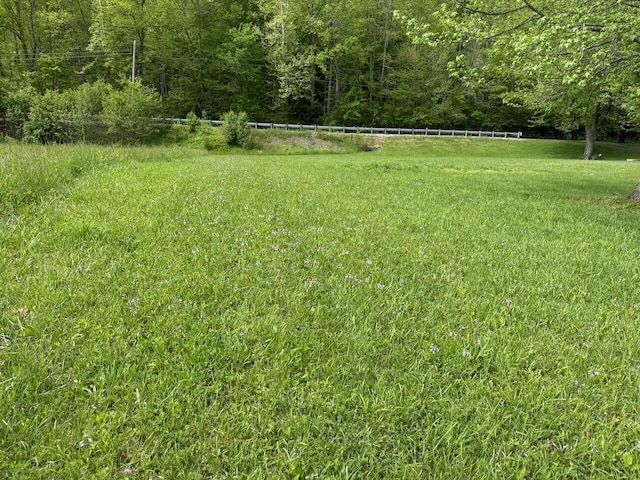 1695 Christy Creek Rd, Morehead, KY 40351 - view of yard featuring a forest view