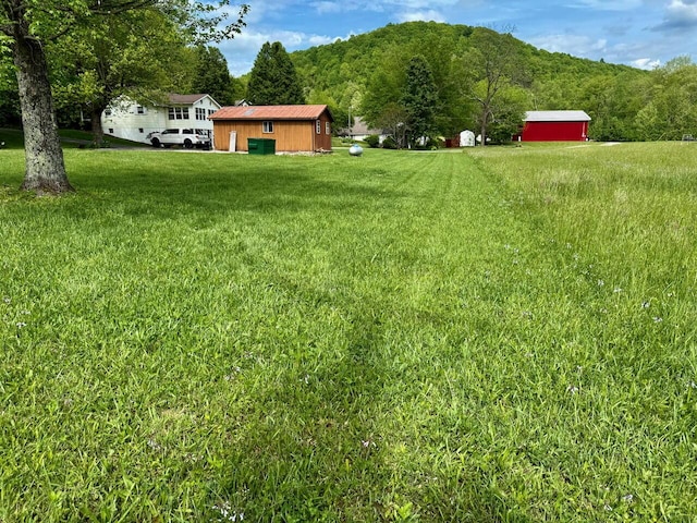 1695 Christy Creek Rd, Morehead, KY 40351 - view of grassy yard featuring an outdoor structure, a storage unit, and a wooded view