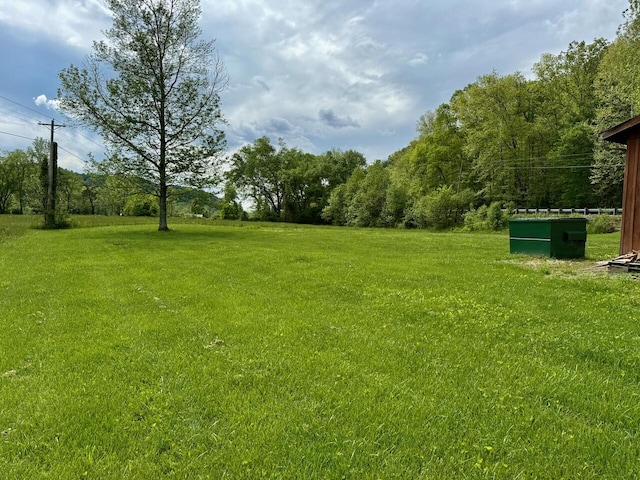 1695 Christy Creek Rd, Morehead, KY 40351 - view of grassy yard