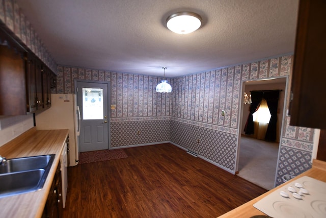 unfurnished dining area featuring dark hardwood / wood-style flooring, sink, and a textured ceiling