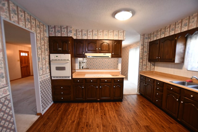 kitchen with dark wood-type flooring, cooktop, sink, dark brown cabinets, and oven