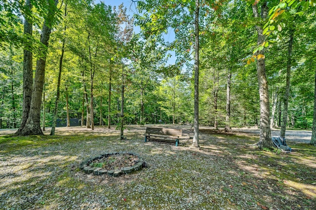 view of yard with a wooded view