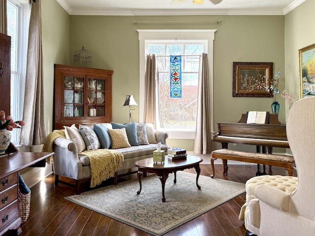 sitting room with crown molding and dark hardwood / wood-style flooring