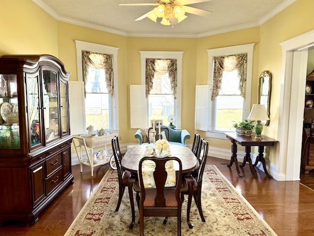 dining area featuring crown molding, dark wood-type flooring, and ceiling fan