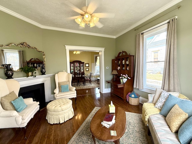 living room with crown molding, dark wood-type flooring, and a textured ceiling