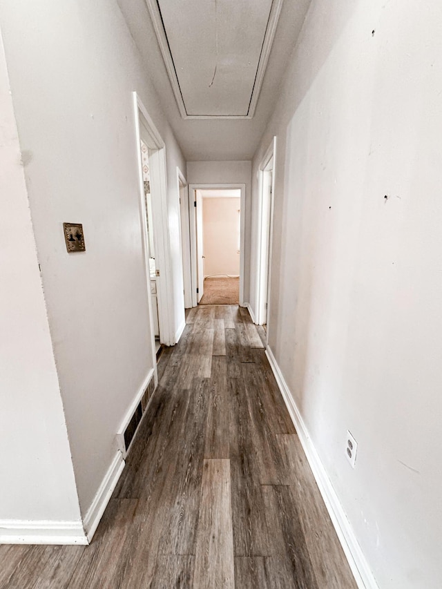 hall featuring dark wood-type flooring