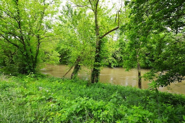 view of landscape with a water view