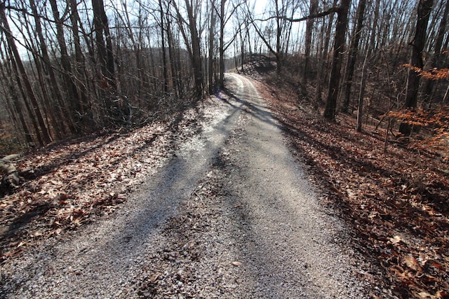 68 Star Gap Rd, Stanton, KY 40380 - view of road