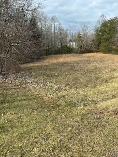 650 E Appletree Rd, Stearns KY, 42647 land for sale