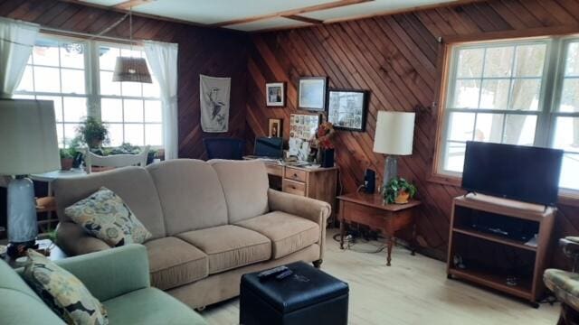 living area with wood walls, wood finished floors, and a healthy amount of sunlight