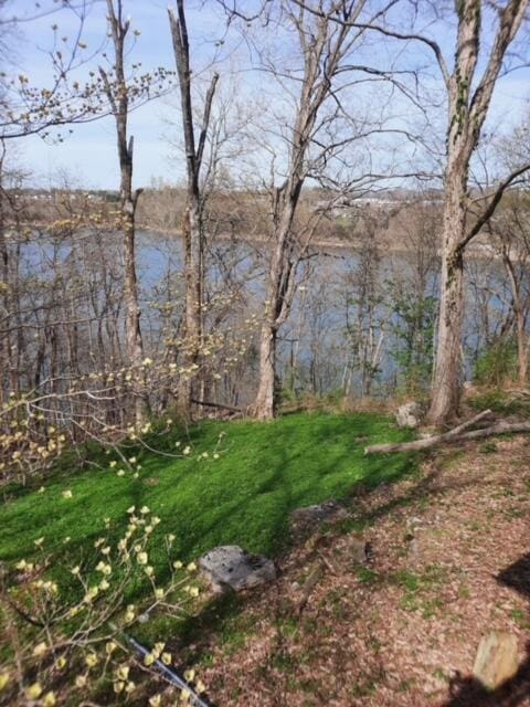 view of yard featuring a water view