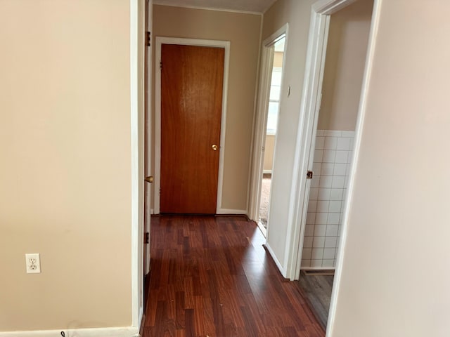 hall featuring dark wood-style flooring